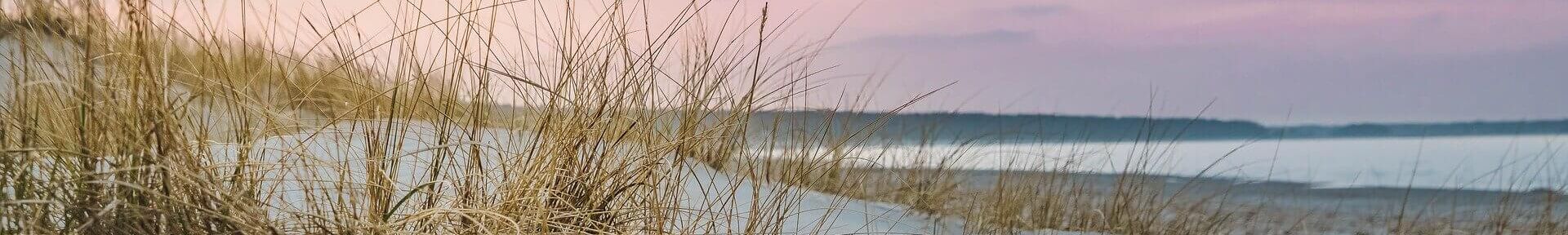 Strand an der Ostsee mit Dünen und Sand an einem herbstlichen Tag
