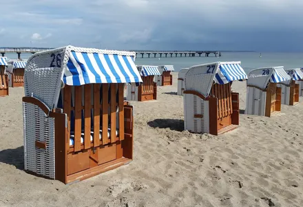 Strandkörbe in mehreren Reihen am sonnigen Strand in Scharbeutz