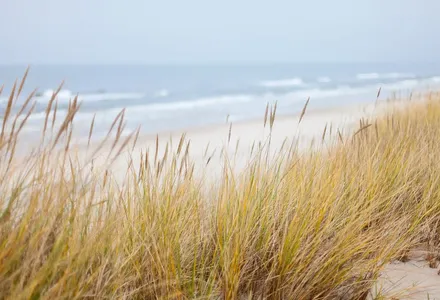 Strandhafer und Dünen mit brechenden Wellen im Hintergrund