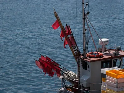 Fischkutter im Sommer bei der Einfahrt in Travemünde im ruhigen Wasser
